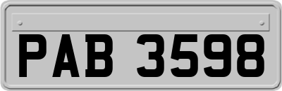 PAB3598