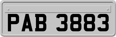 PAB3883