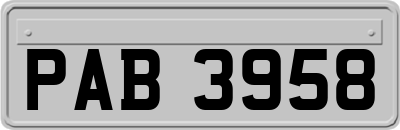 PAB3958