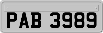 PAB3989