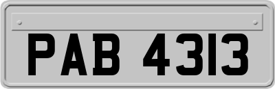 PAB4313