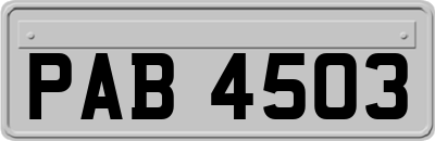 PAB4503