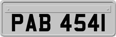 PAB4541