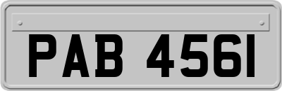 PAB4561