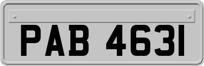 PAB4631