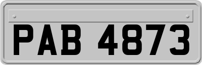 PAB4873
