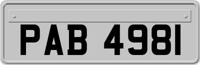 PAB4981
