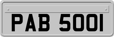 PAB5001
