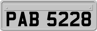PAB5228