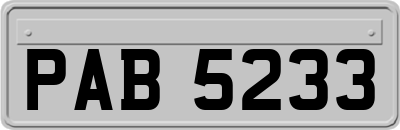 PAB5233