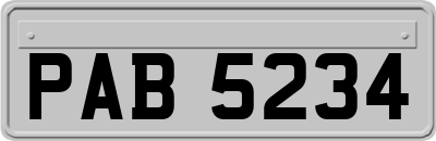 PAB5234
