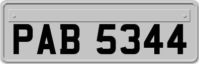 PAB5344