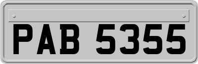PAB5355