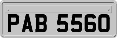 PAB5560