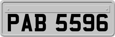 PAB5596