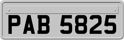 PAB5825