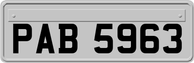 PAB5963