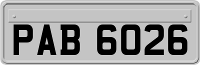 PAB6026