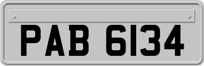 PAB6134