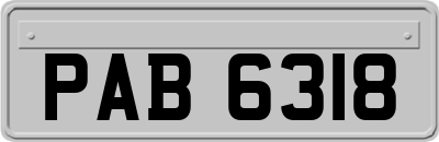 PAB6318