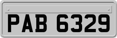 PAB6329
