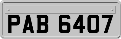 PAB6407