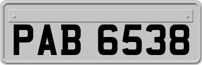 PAB6538