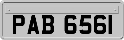 PAB6561