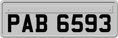 PAB6593