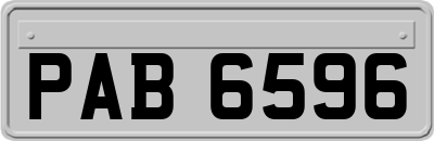 PAB6596