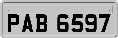 PAB6597