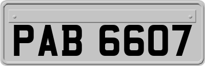 PAB6607