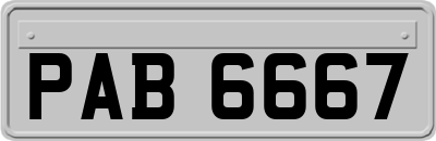 PAB6667