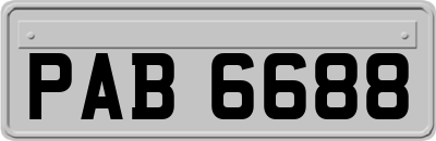 PAB6688