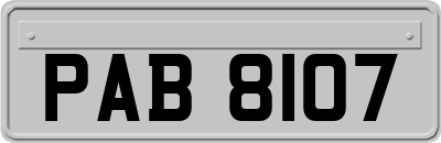 PAB8107