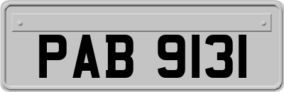 PAB9131