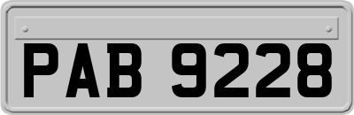PAB9228