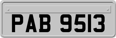 PAB9513