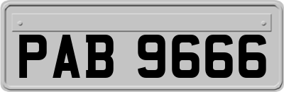 PAB9666