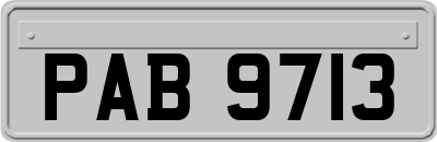PAB9713