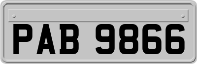 PAB9866