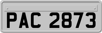 PAC2873