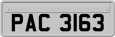 PAC3163