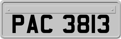 PAC3813