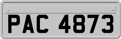 PAC4873
