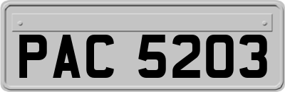 PAC5203