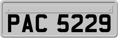 PAC5229