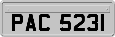 PAC5231