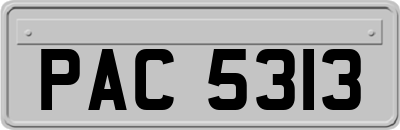 PAC5313