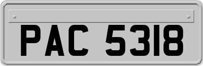 PAC5318
